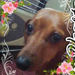 Meet your Posher, Diane